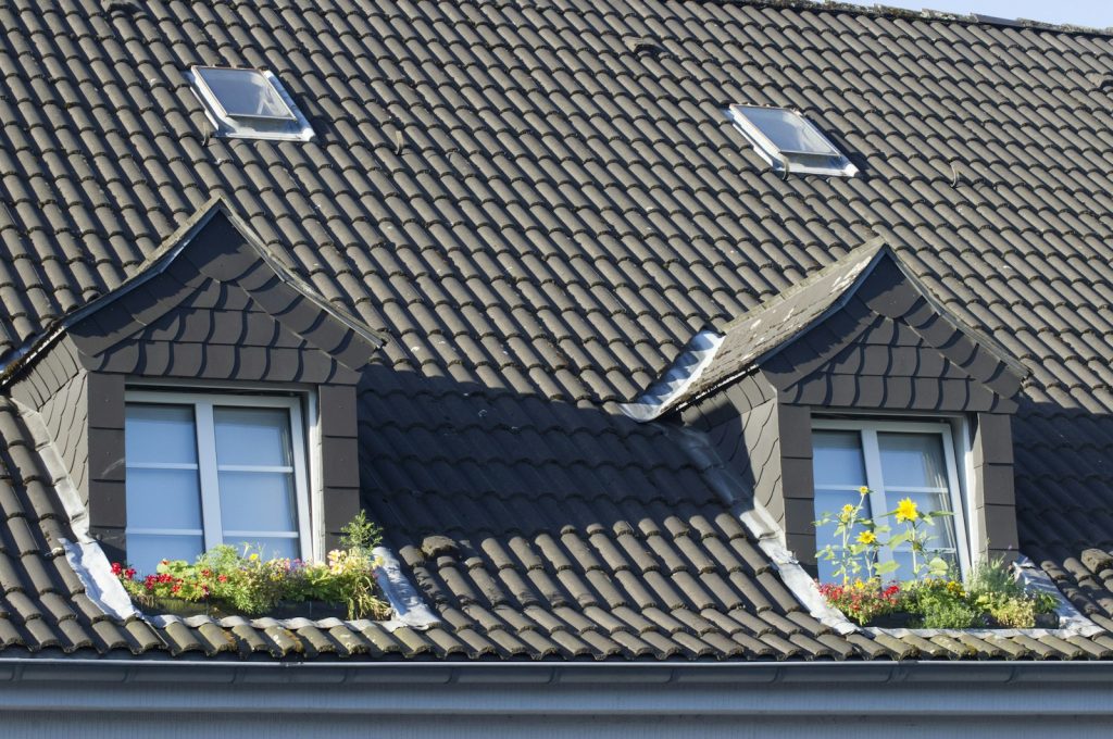 Clean roof tiles beside green foliage after algae removal